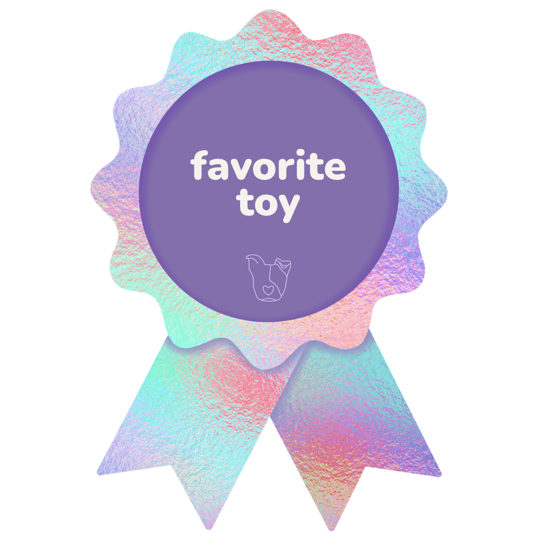 favorite toy