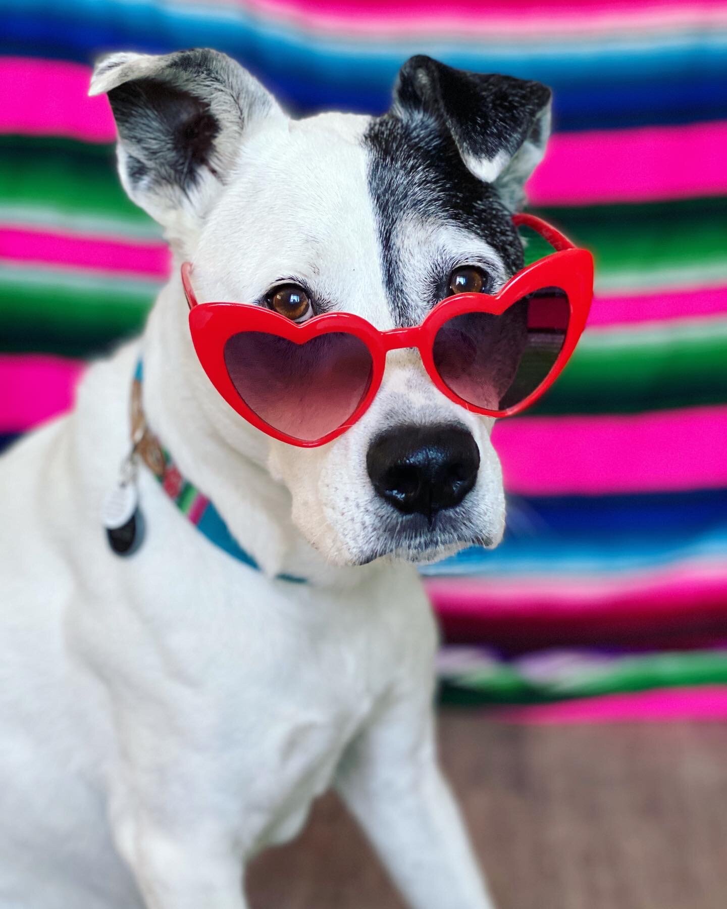A foundation good boy