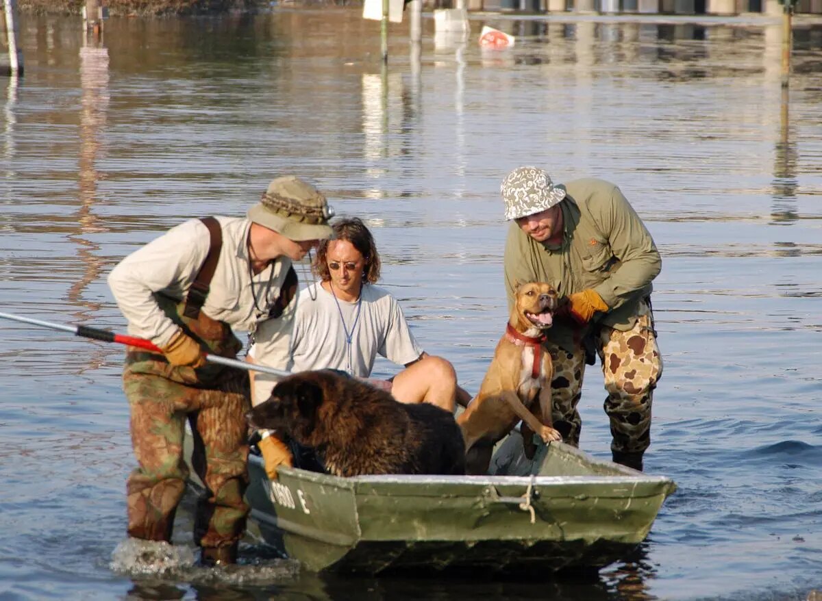 Volunteers rescuing dogs from the floodwaters after Hurricane Katrina