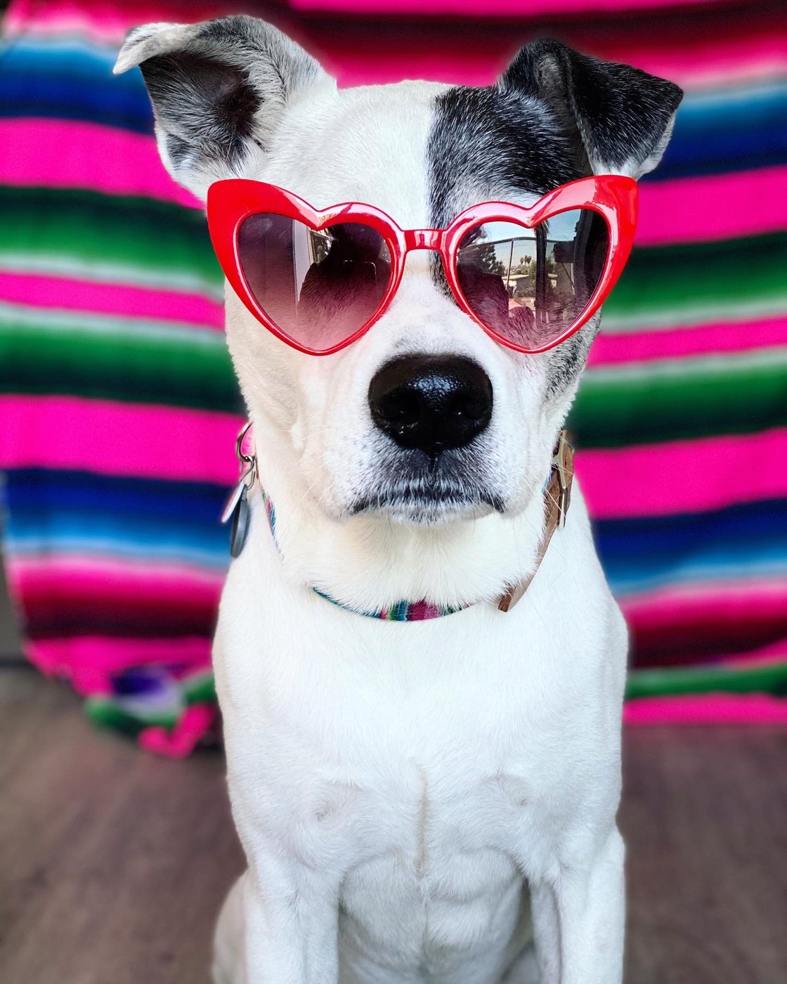 Deuce — the inspiration for the monthly wellness scan