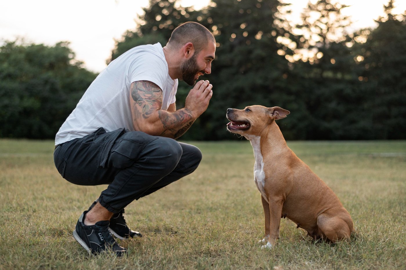 A trainer engaging warmly with a dog